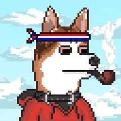 Husky #168