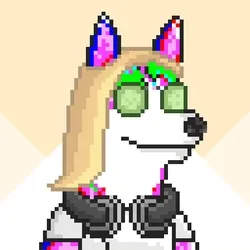 Husky #508