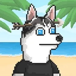 Husky #152