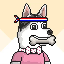 Husky #251