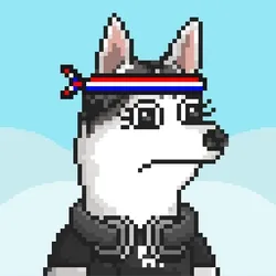 Husky #278
