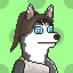Husky #724