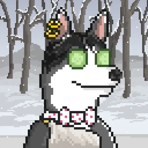 Husky Pack Nft