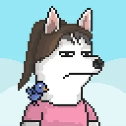 Husky #252