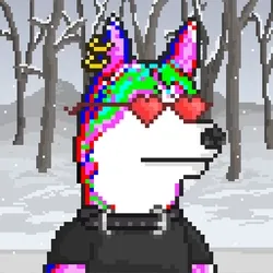 Husky #547