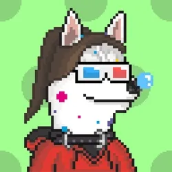 Husky #295