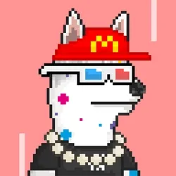 Husky #30