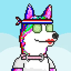 Husky #137