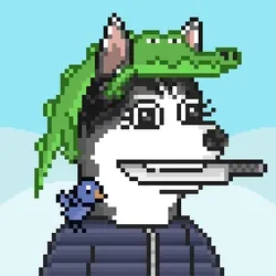 Husky #466