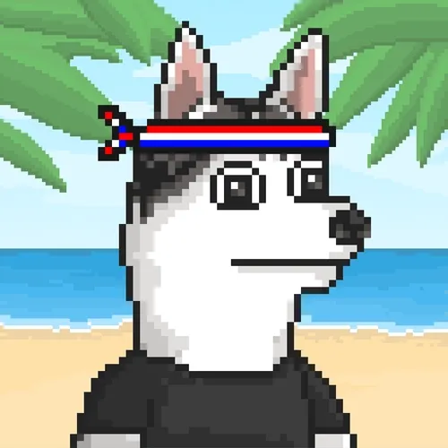 Husky #632