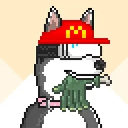 Husky #592