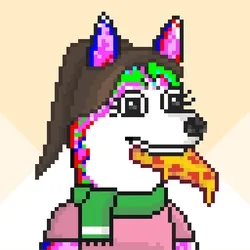 Husky #330