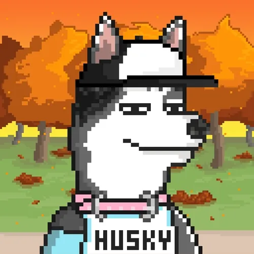 Husky Pack Nft