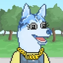 Husky #396
