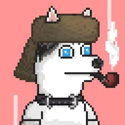 Husky #431