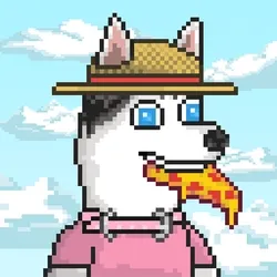 Husky #336