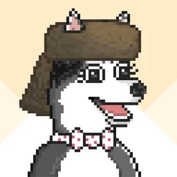 Husky #467