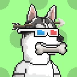 Husky #139