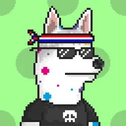Husky #507