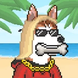 Husky #339