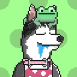 Husky #331