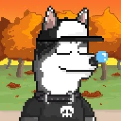 Husky #24
