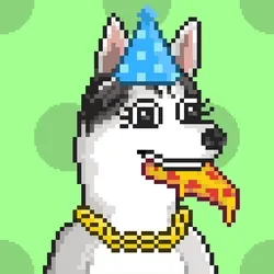 Husky #213