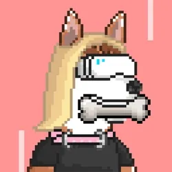 Husky #267