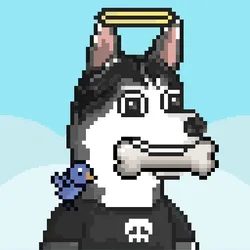 Husky #720