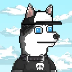 Husky #300