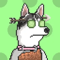 Husky #122