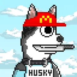 Husky #326
