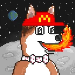 Husky #291