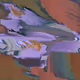 63