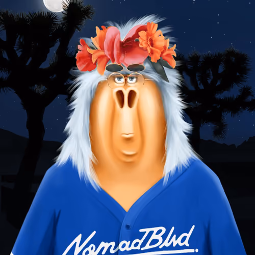 Nomad #2113