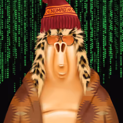 Nomad #1234
