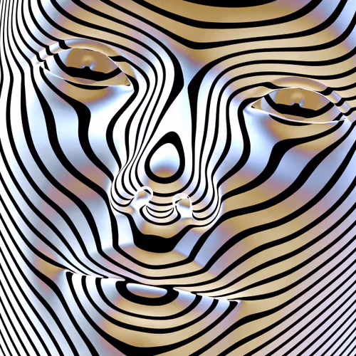 556