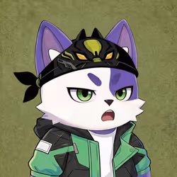 247