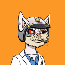46