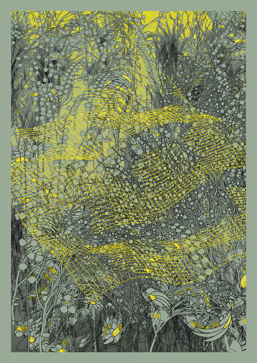 Item #3446917170 Media