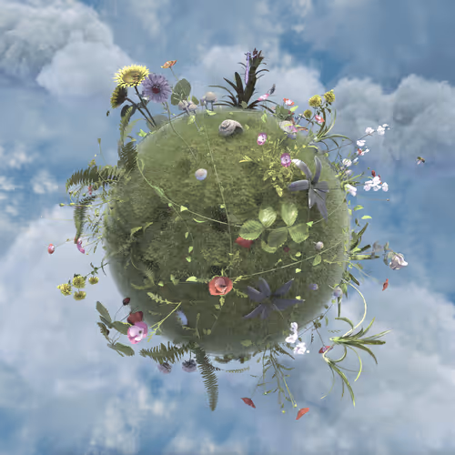 Item #2223010179 Media