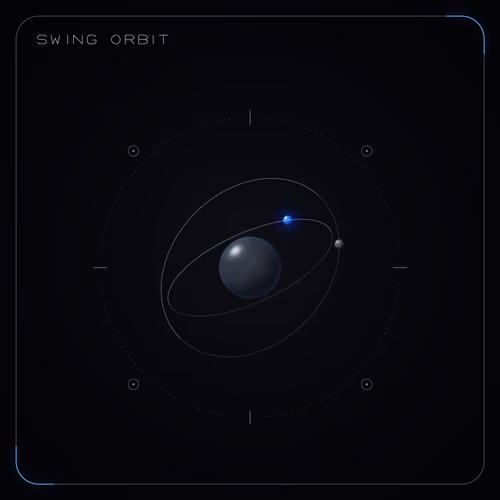 SWING ORBIT #317