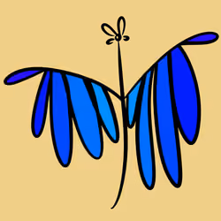 Fly