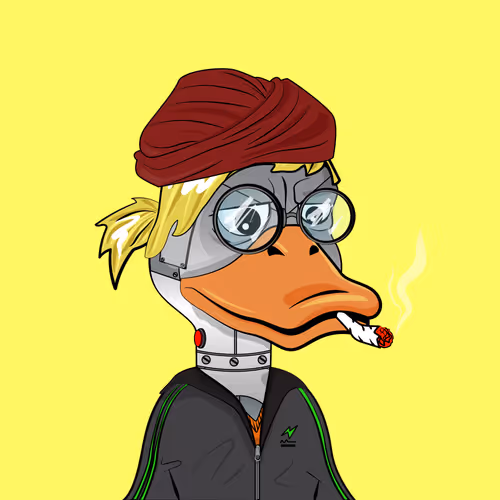 Slacker Duck Pond