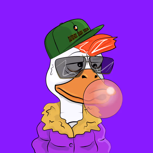 Slacker Duck #5962