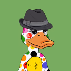 Slacker Duck #18