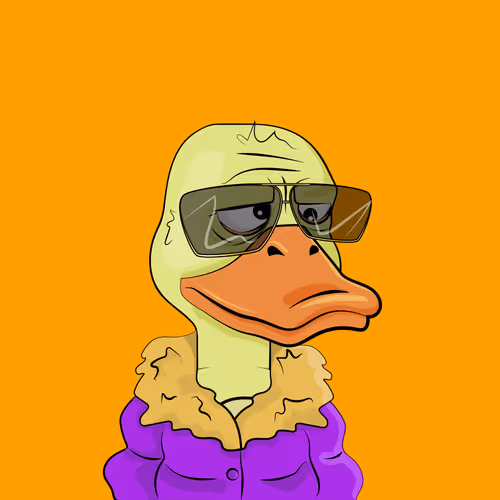 Slacker Duck #506