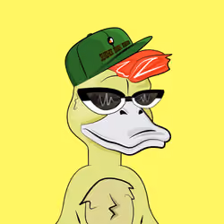 Slacker Duck #1255