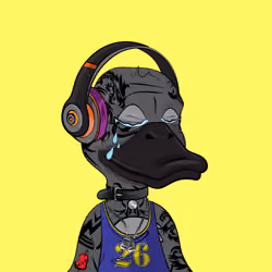 Slacker Duck #1521