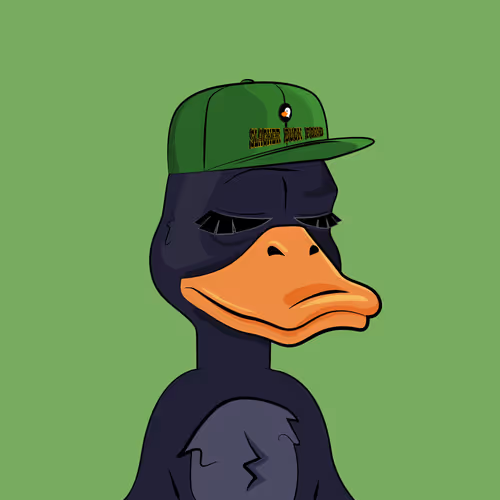 Slacker Duck #2978